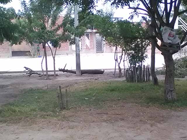 depredan1