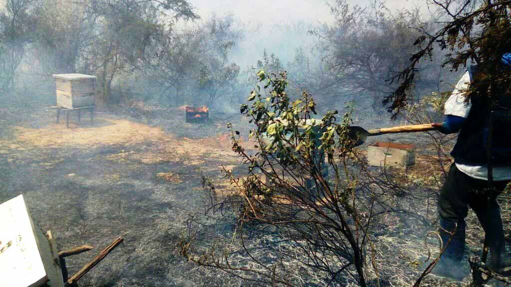 incendio forestal chulucanas 2