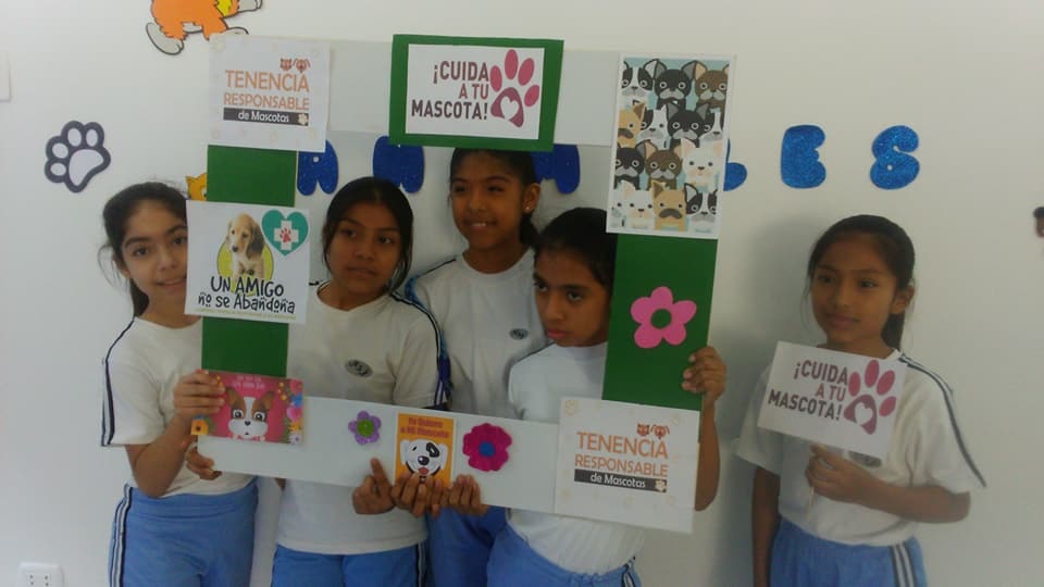 Educacion Mascotas 02