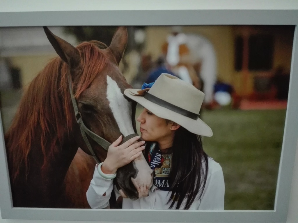 Exposicion Caballos Paso01