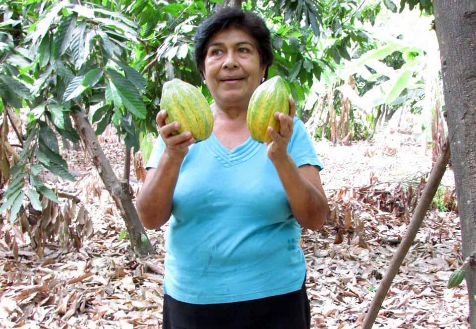 cacao piurano entre los mejores 