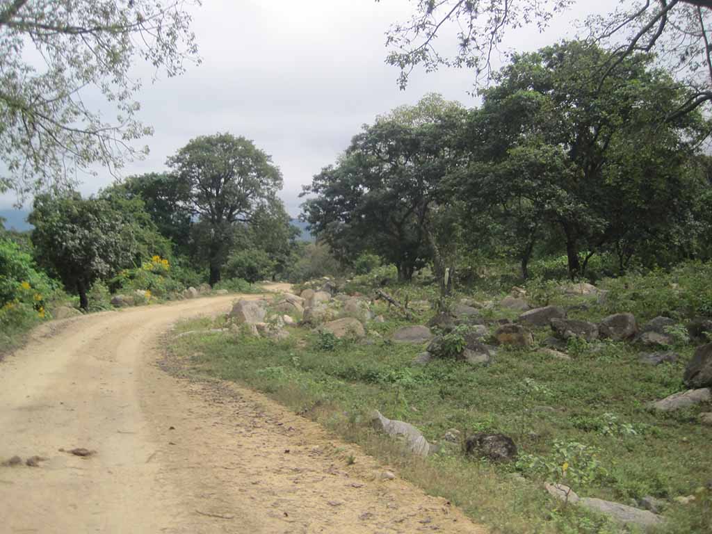 yamango carretera