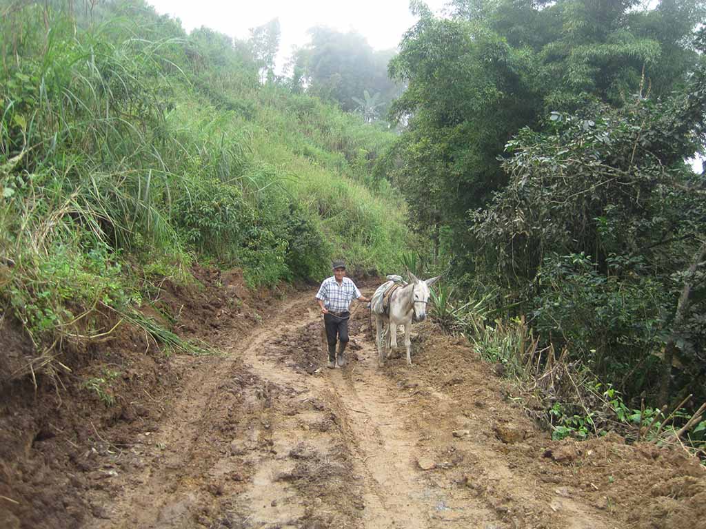 yamango carretera rehabilitacion1