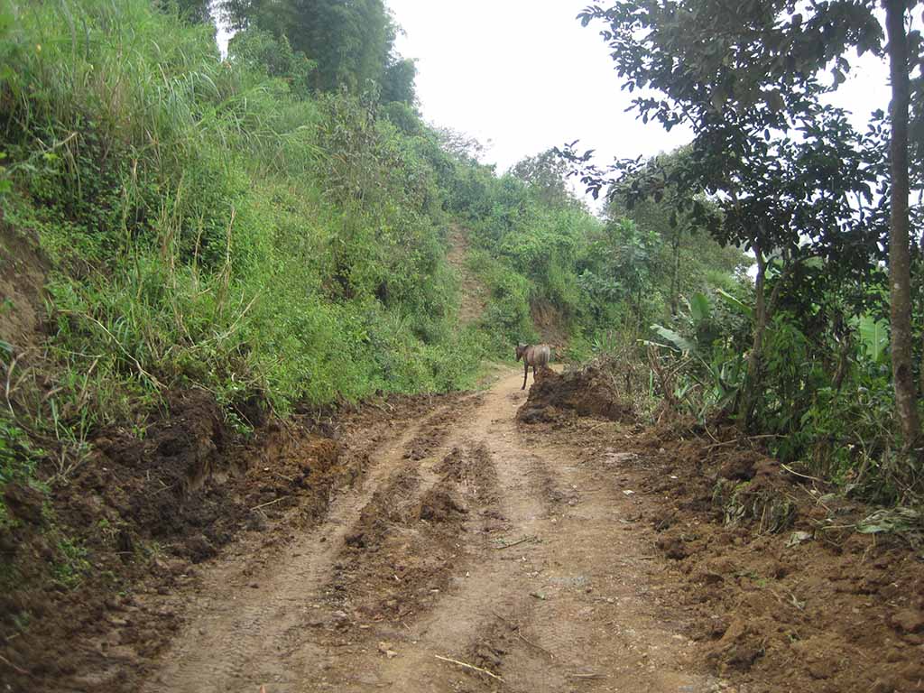 yamango carretera rehabilitacion2