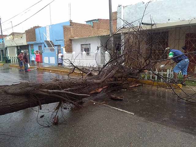 lluvia talara2