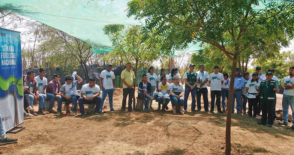 bosques manejados
