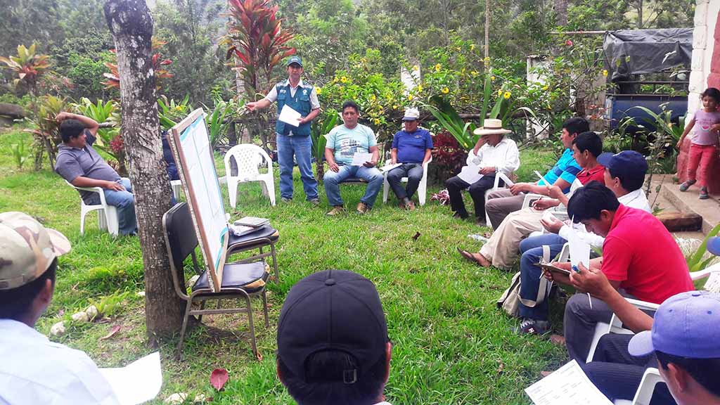 productores forestales