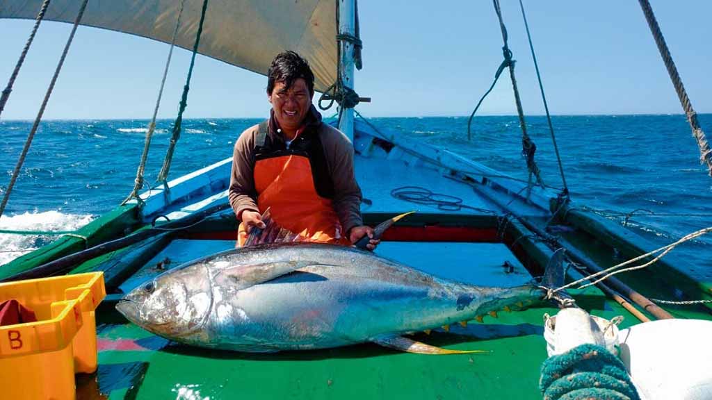 veleros cabo blanco 2