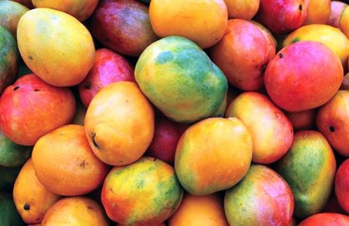 Mango Piura
