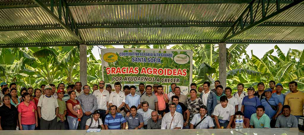 Cooperativa Agraria Alto Grande Santa Sofia 1