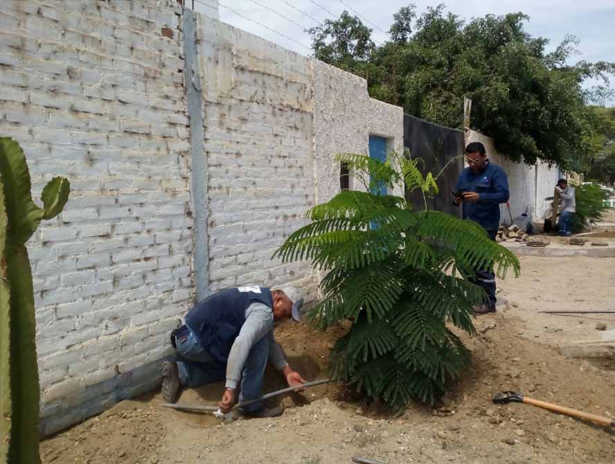 clausuran conexion clandestina 1