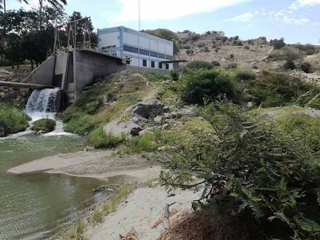 planta el arenal