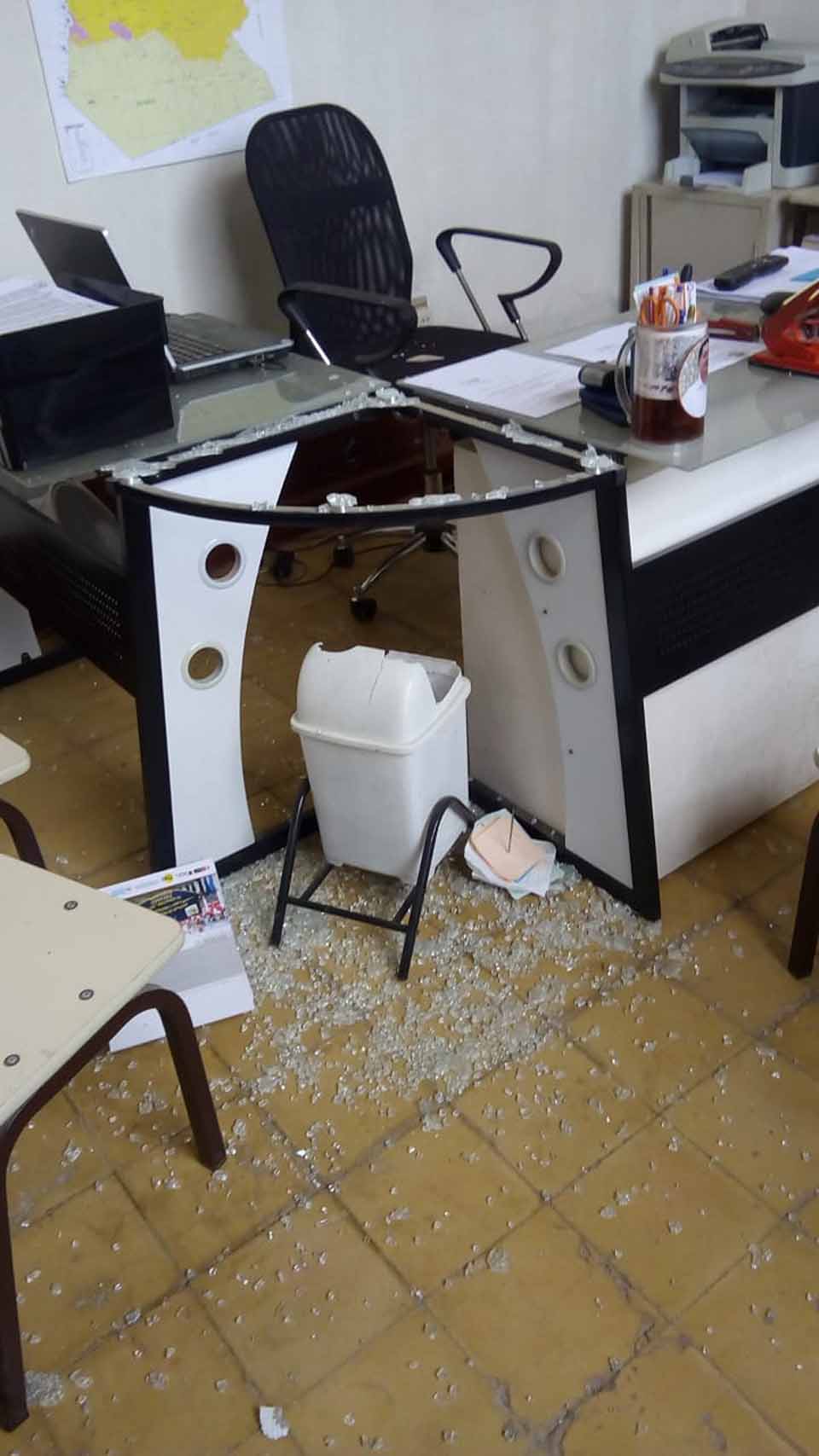 desmanes los organos 2