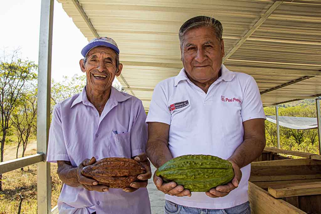productores de cacao reciben modulos