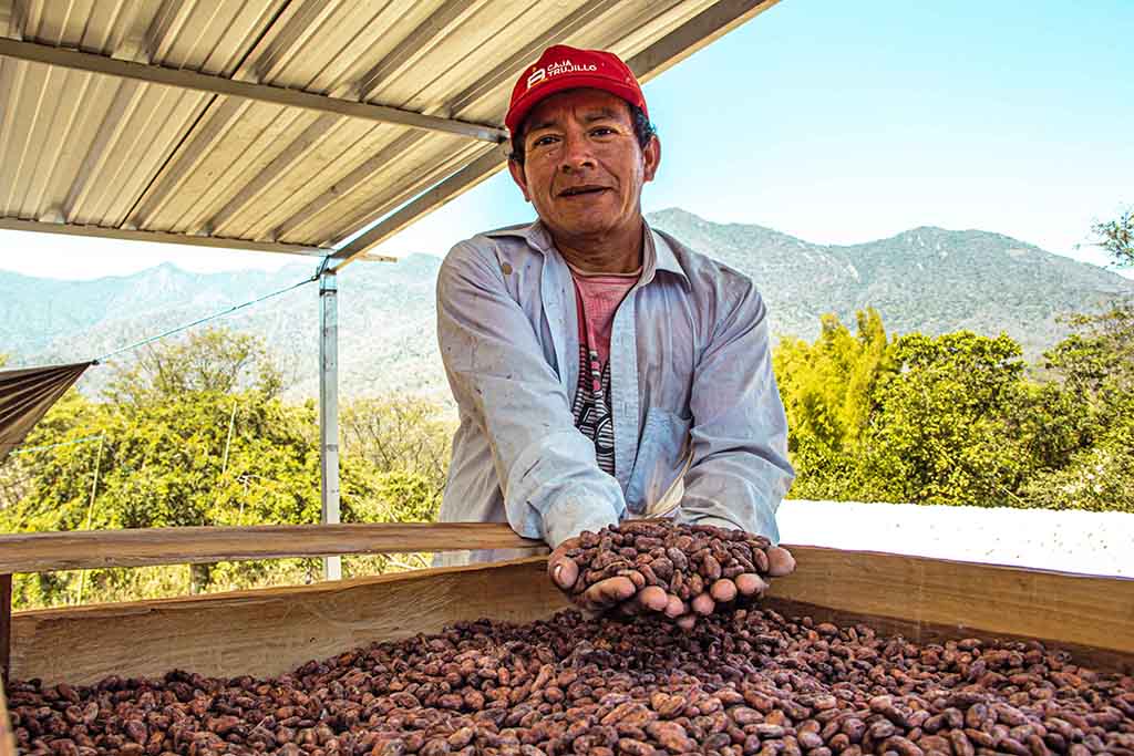 productores de cacao reciben modulos 2