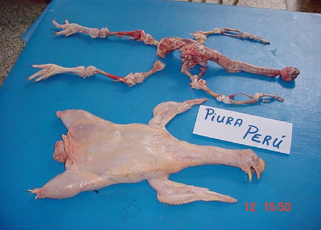Aves deshuesadas1