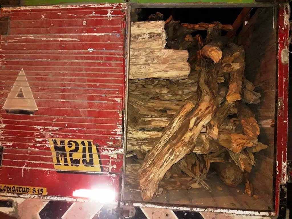 camion palo santo 1