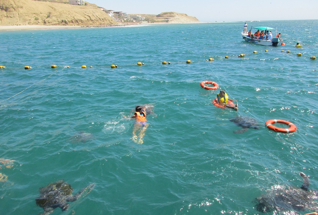 Caleta el Ñuro y tortugas verdes | Fotografía El Regional de Piura