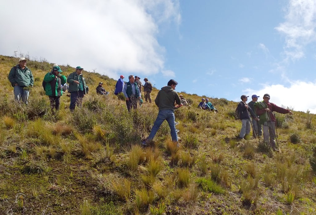 Siembran plantones en Comunidad de Quispampa- Huancabamba