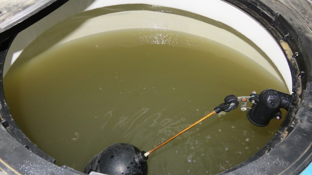 Consumo de agua contaminada