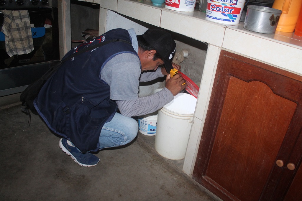Vigilancia chikunguya
