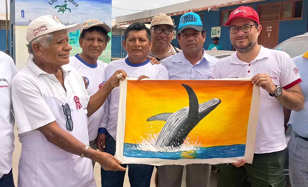 avistamiento ballenas los organos