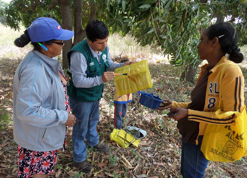 erradicacion plaga mosca