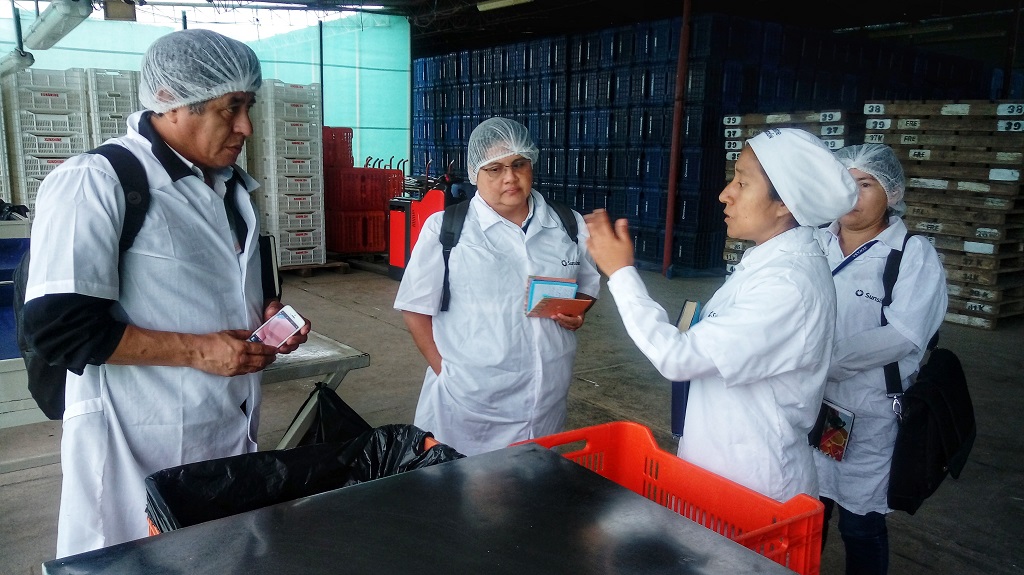 Inspeccionan procesamiento primario para exportación de mango a México