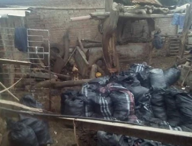 Piden fiscalización y clausura de corral de ganado vacuno