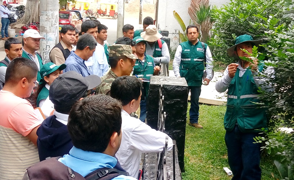 Realizan acciones para prevenir a cítricos de plaga Dragón Amarillo