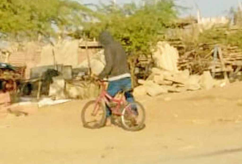 roban bicicleta