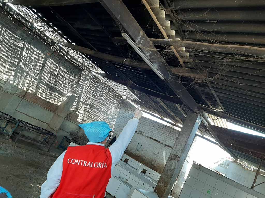 camal municipal catacaos pesimas condiciones 2