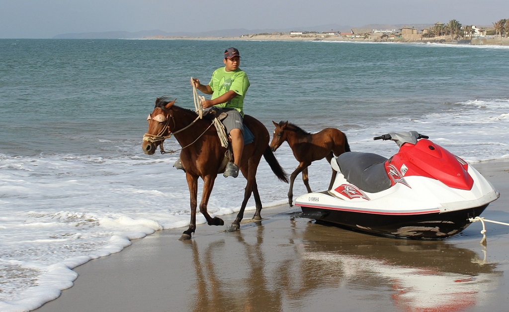 Playa de Máncora apta para veranear