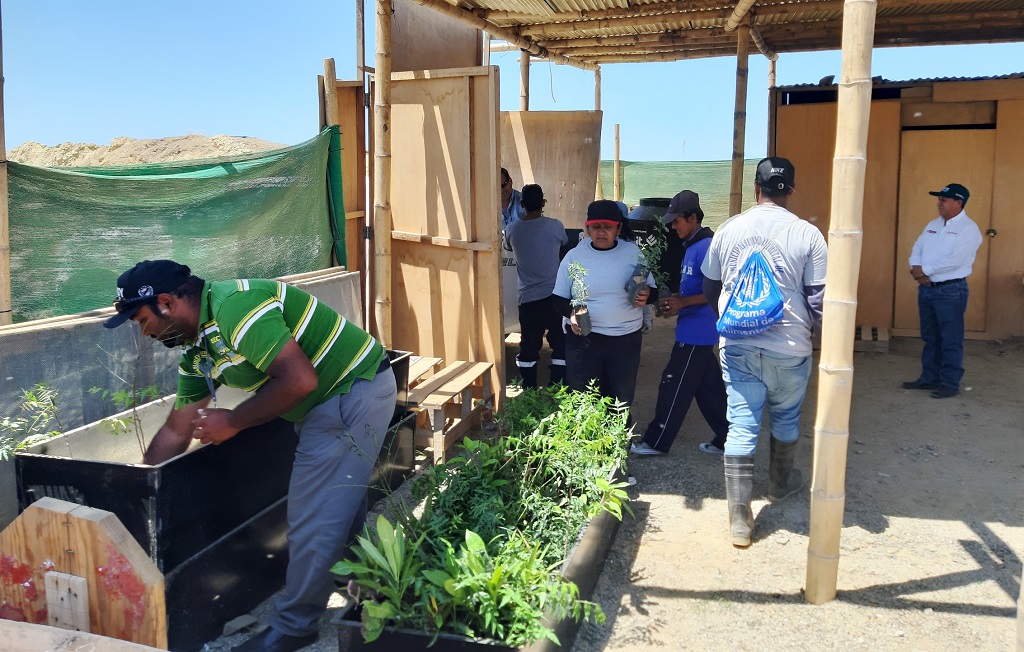 Entregan plantones a distrito El Alto