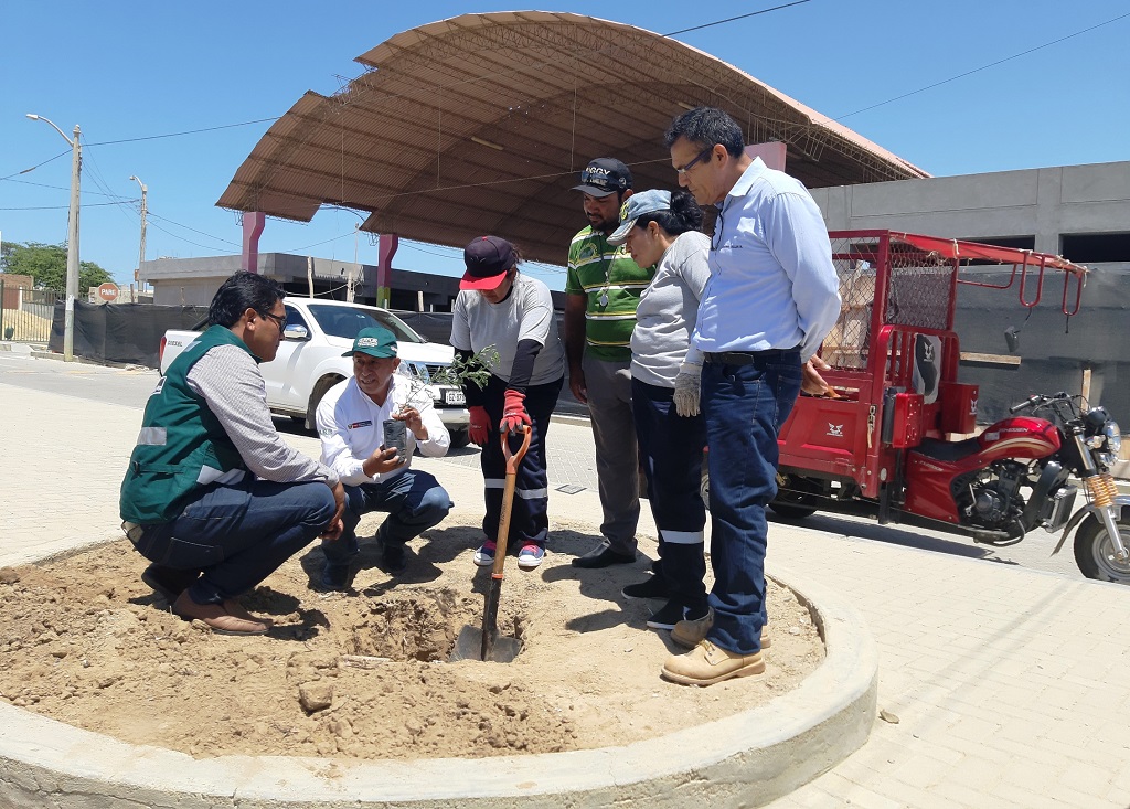 Entregan plantones para reforestación en el Alto