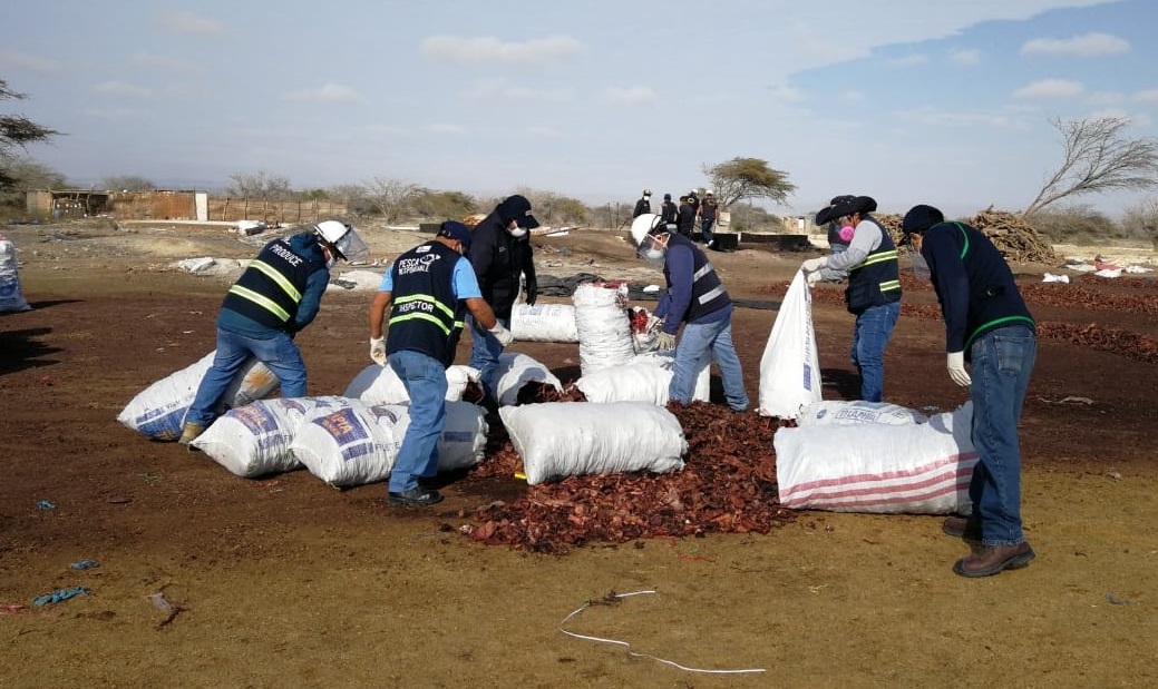 Fiscalía de materia ambiental de Piura decomisó más de 25 toneladas de recurso hidrobiológico