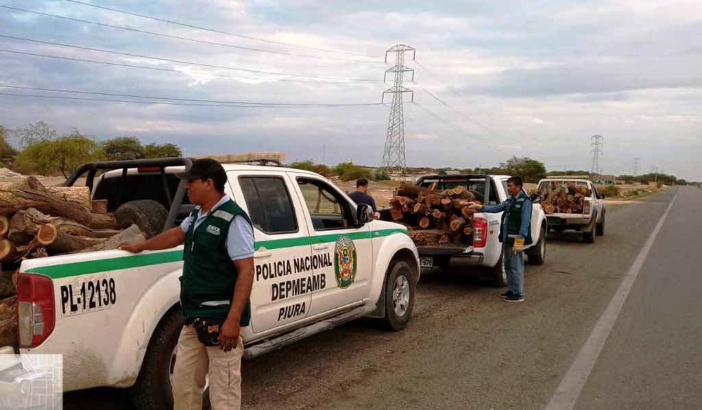 decomiso de palo santo piura sullana 2