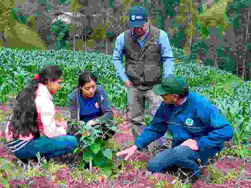 Biocomercio 1