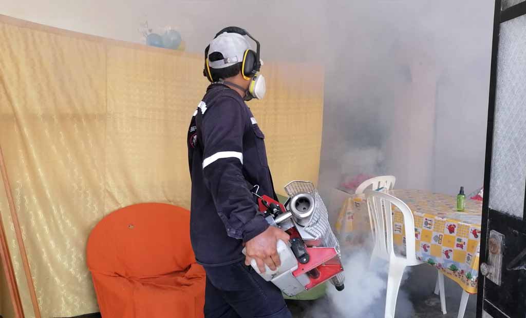 fumigacion cercado castilla 1
