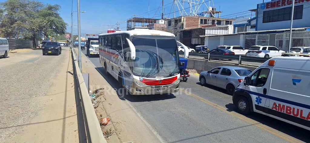 Informe Panamericana Sullana 06