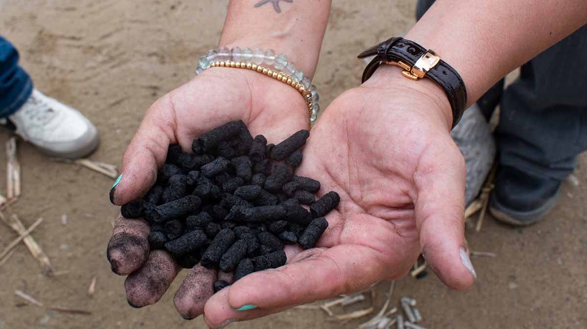 biochar 2