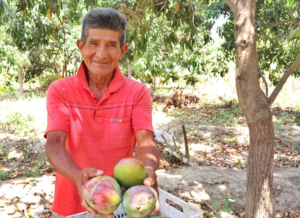 Fotografía referencial