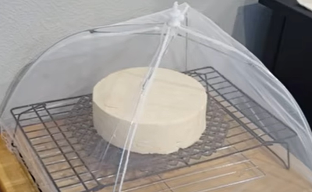 Articulo queso de cabra 01