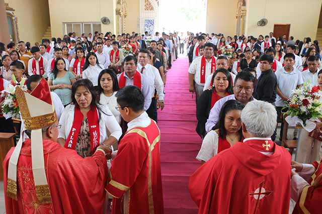 reciben confirmacion1