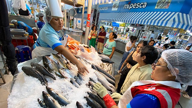 Pescado congelado 04