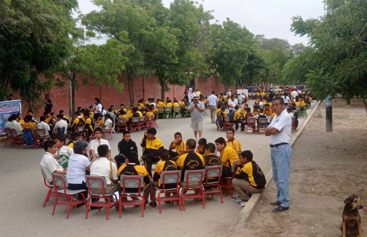 recibieron clases 5