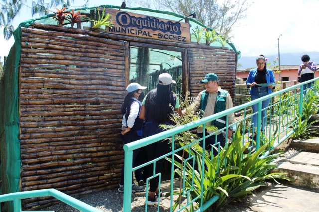 Orquídeas en distrito de Sicchez