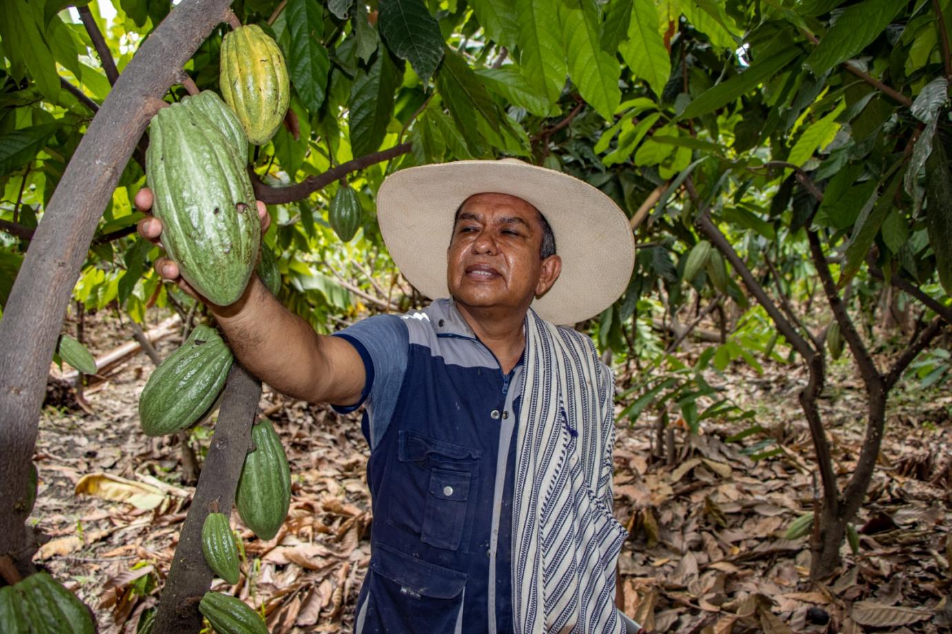 Norandino gana premio1
