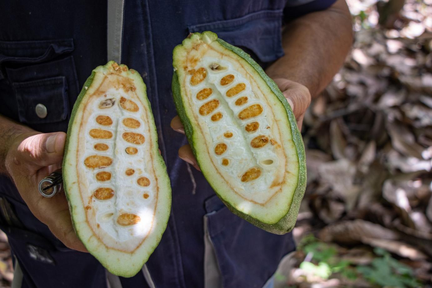 Norandino gana premio2