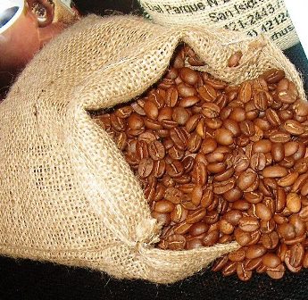 cafe produccion